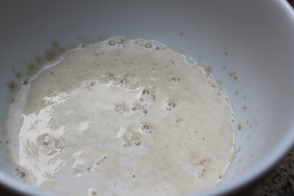 active dry yeast, activating Everyday Bites